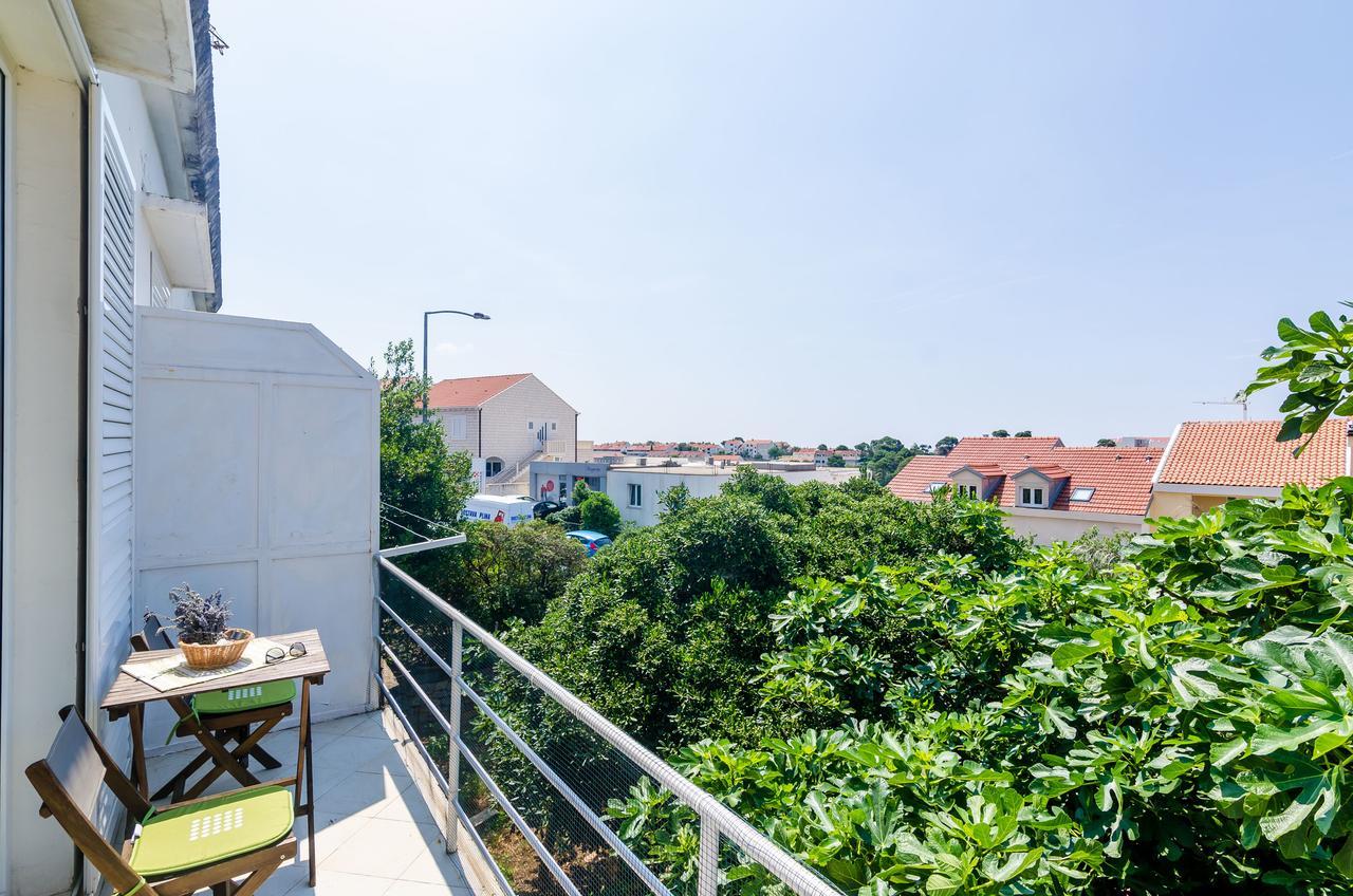 Marich Homestay Dubrovnik Dış mekan fotoğraf